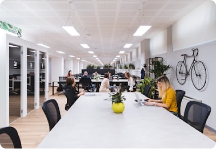 How to Use a Tenmoku Tea Bowl: Holding, Brewing Matcha & Cultural History - 2026.01.03 - InnoShop，An open-source e-commerce platform with...